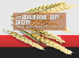 im体育手机版_客户端安装