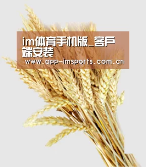 im体育手机版_客户端安装