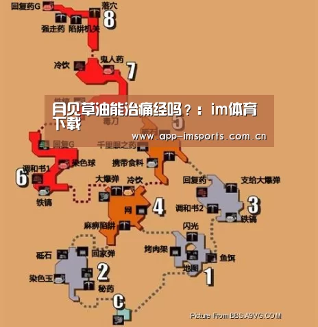 im体育
