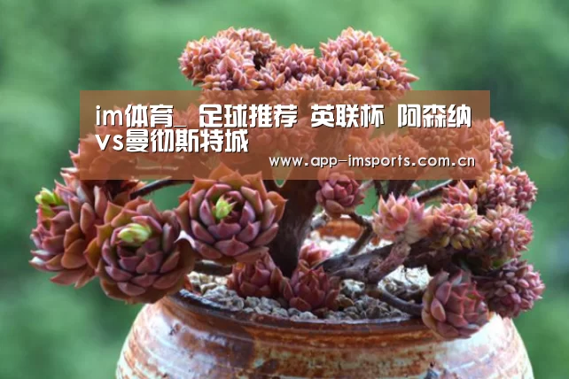 im体育官方app下载
