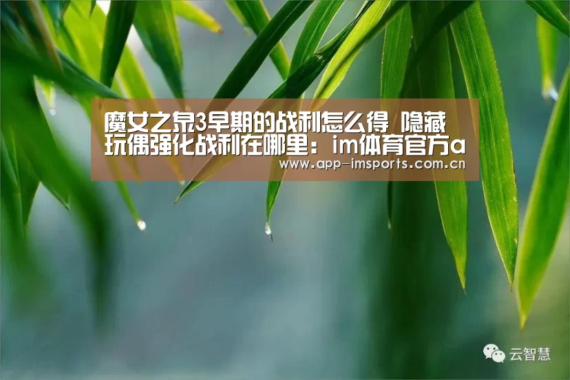 魔女之泉3早期的战利怎么得 隐藏玩偶强化战利在哪里:im体育官方app下载(图2) im体育