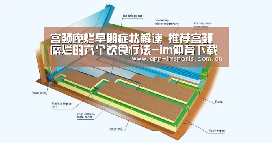 im体育下载