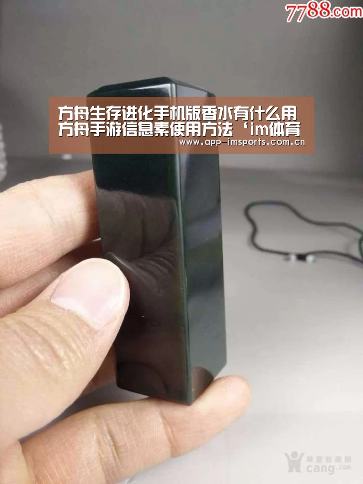 im体育
