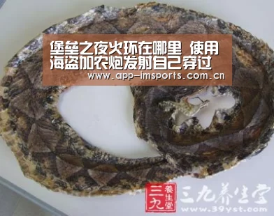 堡垒之夜火环在哪里 使用海盗加农炮发射自己穿过火环:im体育(图2) im体育官方app下载
